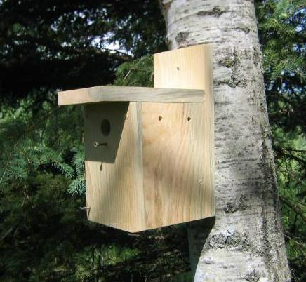 Wooden Bird Feeder Plans